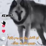 Following profile image