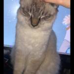 Following profile image