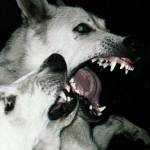 Following profile image