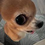 Following profile image