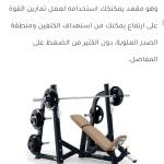 asmaa adel Profile Picture