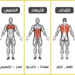 mohamed Emad Profile Picture