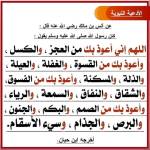 islam herzallah Profile Picture