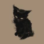 Following profile image