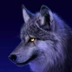 Following profile image