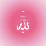 Chames Rahmani Profile Picture