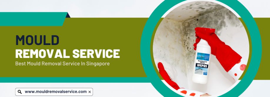 Mould Removal Services cover