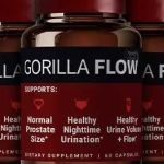 Gorilla Flow Official Profile Picture