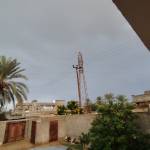 Mohand Tkala Profile Picture