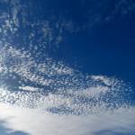Following profile image