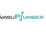 Kiasu Plumber Profile Picture