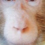 mohameed taqi Profile Picture