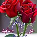 Following profile image