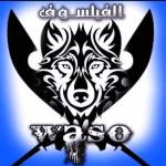 Following profile image