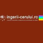 ingerii cerului Profile Picture