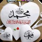 Mohamed مسلم Profile Picture