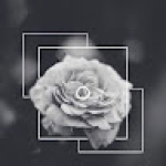 Following profile image