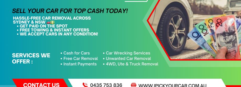 I Pick Your Car cover