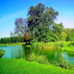 Following profile image