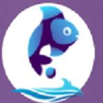 Mobile Application Development by Fish Eye Advertising