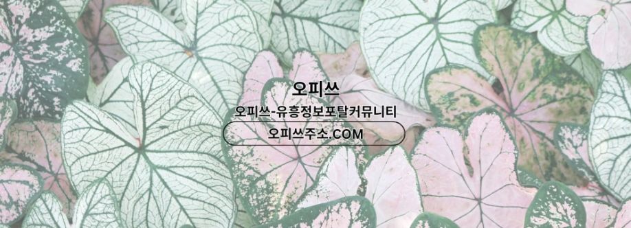 전주건마 오피쓰COM 전주마사지 cover