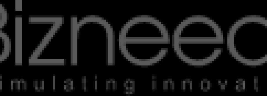 eBizneeds Stimulating Innovation cover