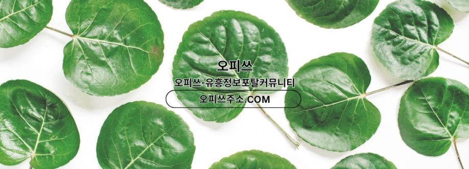 동탄건마 오피사이트NET 동탄마사지 cover