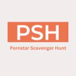 Pss hunt Profile Picture