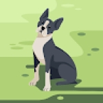 pet wildlife