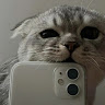 Following profile image