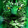 Following profile image