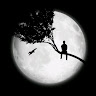 حسون حسون Profile Picture