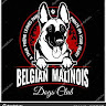 BELGIAN -MALINOIS Profile Picture