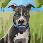 Following profile image