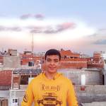 Tarek Elfarmawy Profile Picture