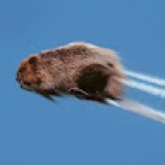 Tommy Hinton Hatin Profile Picture