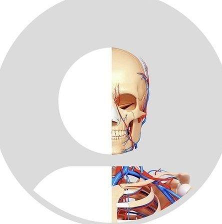 Chams Edine Profile Picture