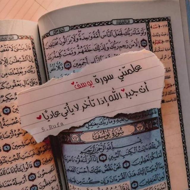 Nour Ashraf Profile Picture