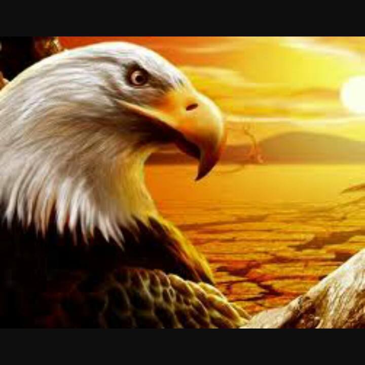 Yaseen Khaleel Profile Picture