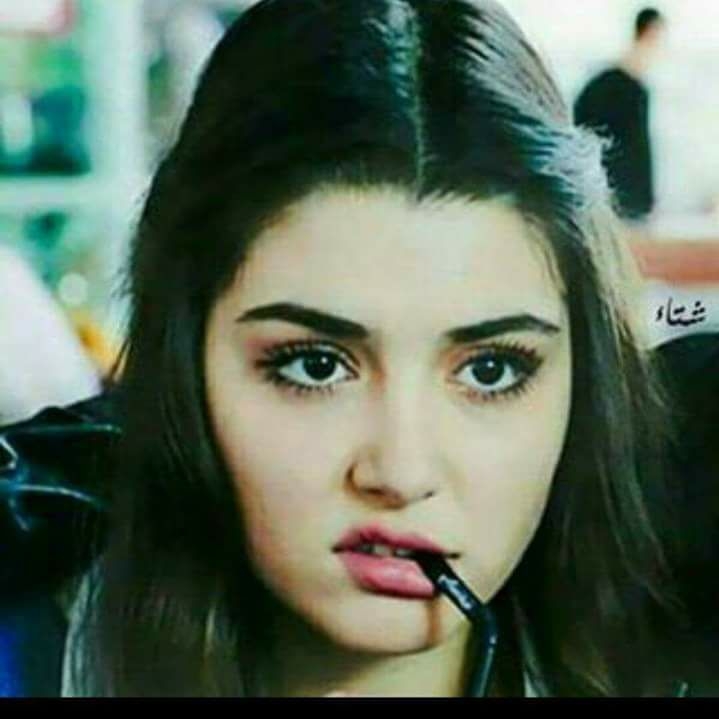 SoMa MoDy Profile Picture