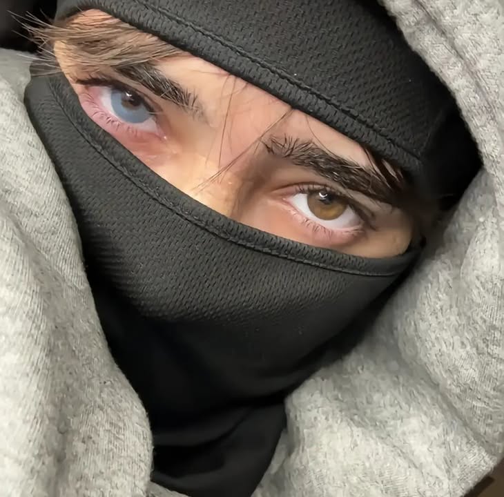 Nsf Un Profile Picture