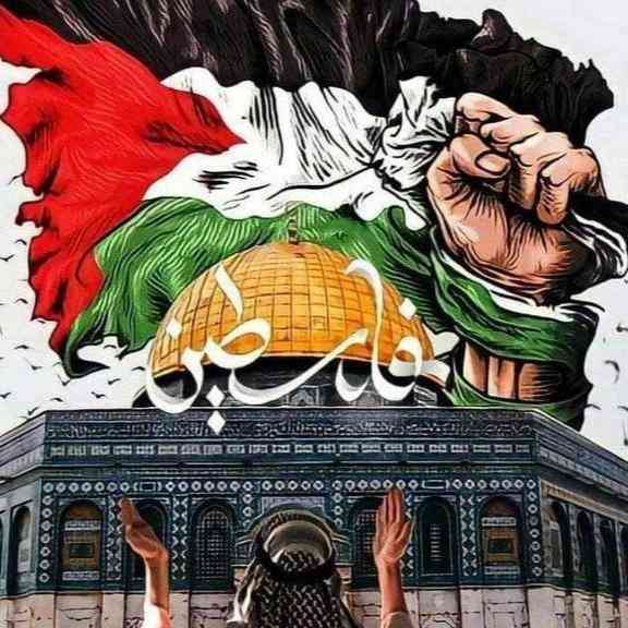 Mohammad Awad Profile Picture