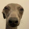 Following profile image
