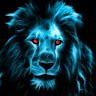 Following profile image