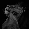 Following profile image