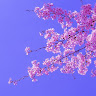 Following profile image