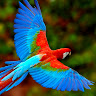 karam gomaa Profile Picture