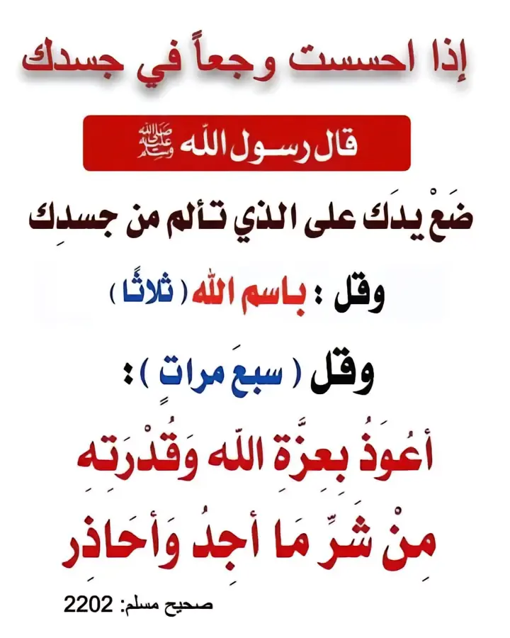 Mahmmod Salahat Profile Picture