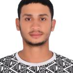 Mohammad Ashraf Profile Picture