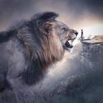 Following profile image